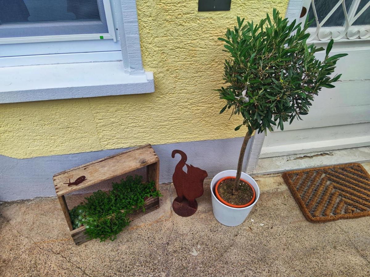 Apartment Jette Stegen Eksteriør billede